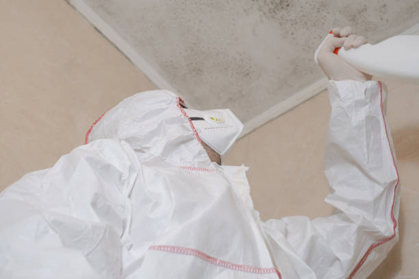 Best Mold Testing  in New Haven, IN